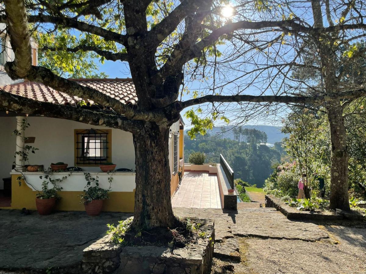 Quinta Do Troviscal Villa Castelo do Bode Kültér fotó