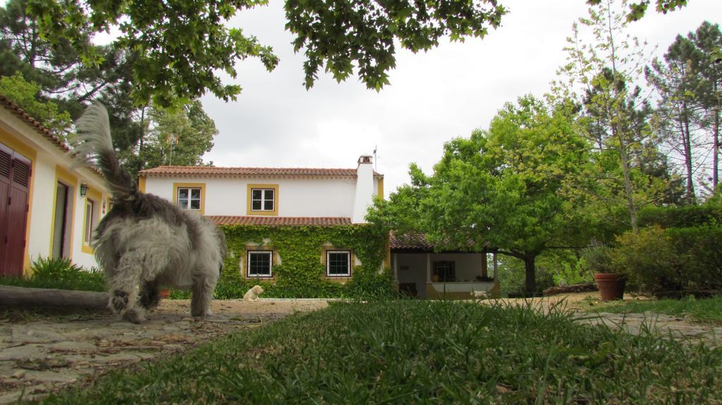 Quinta Do Troviscal Villa Castelo do Bode Kültér fotó