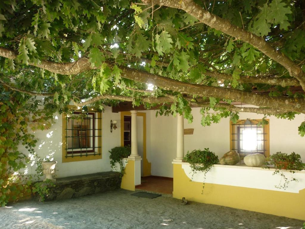 Quinta Do Troviscal Villa Castelo do Bode Kültér fotó